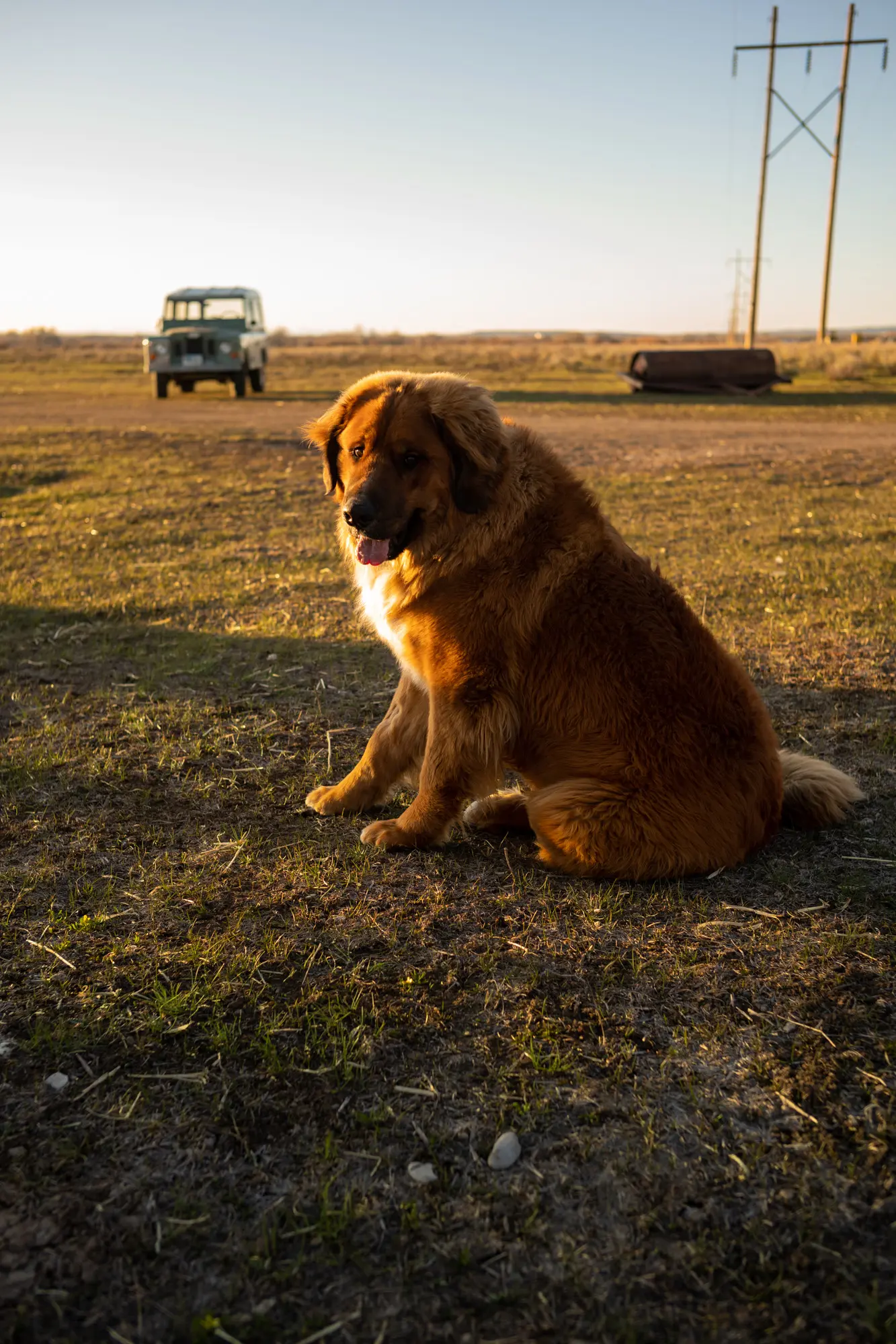 This Old Truck gallery image 7