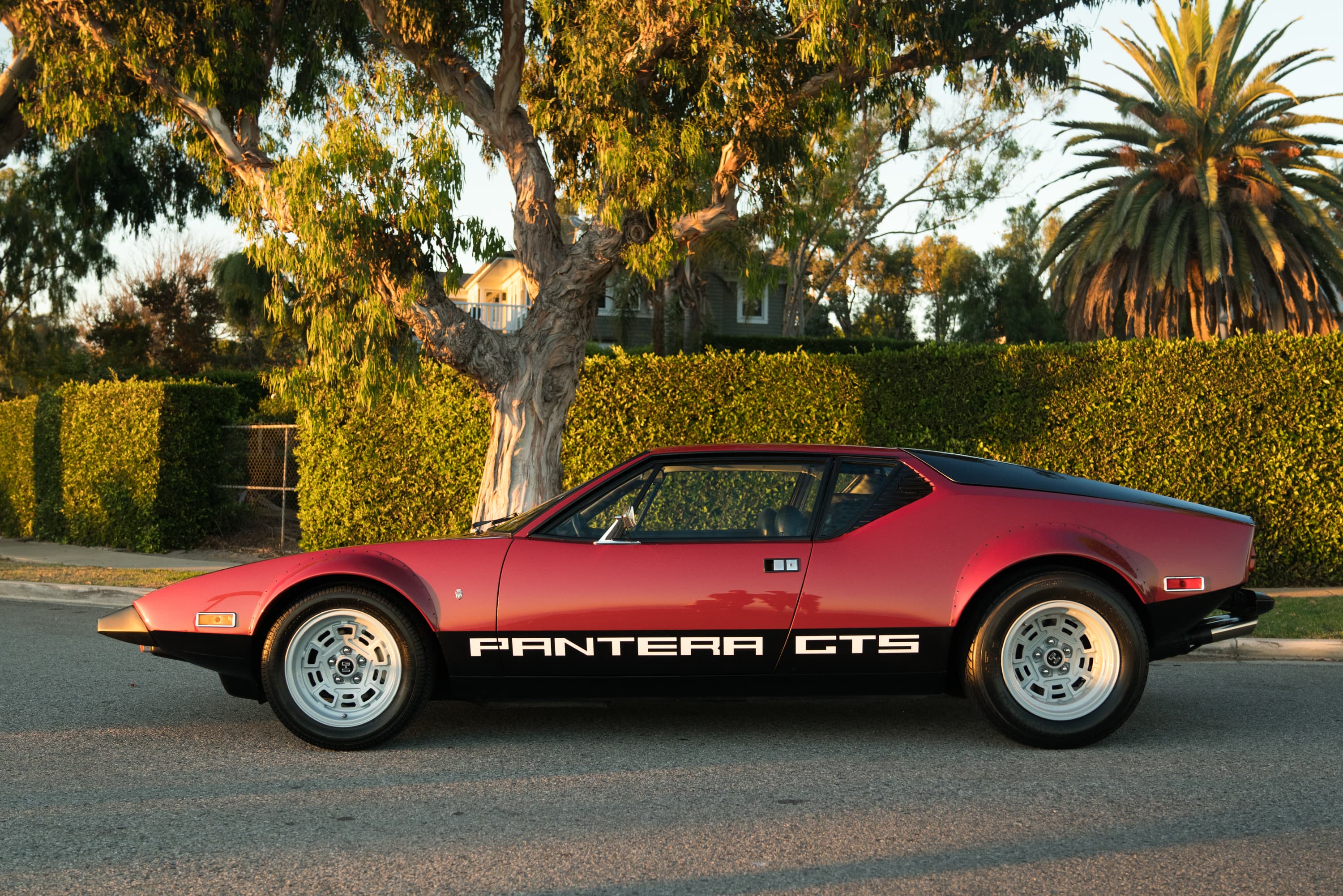 Why I Drive gallery image 4