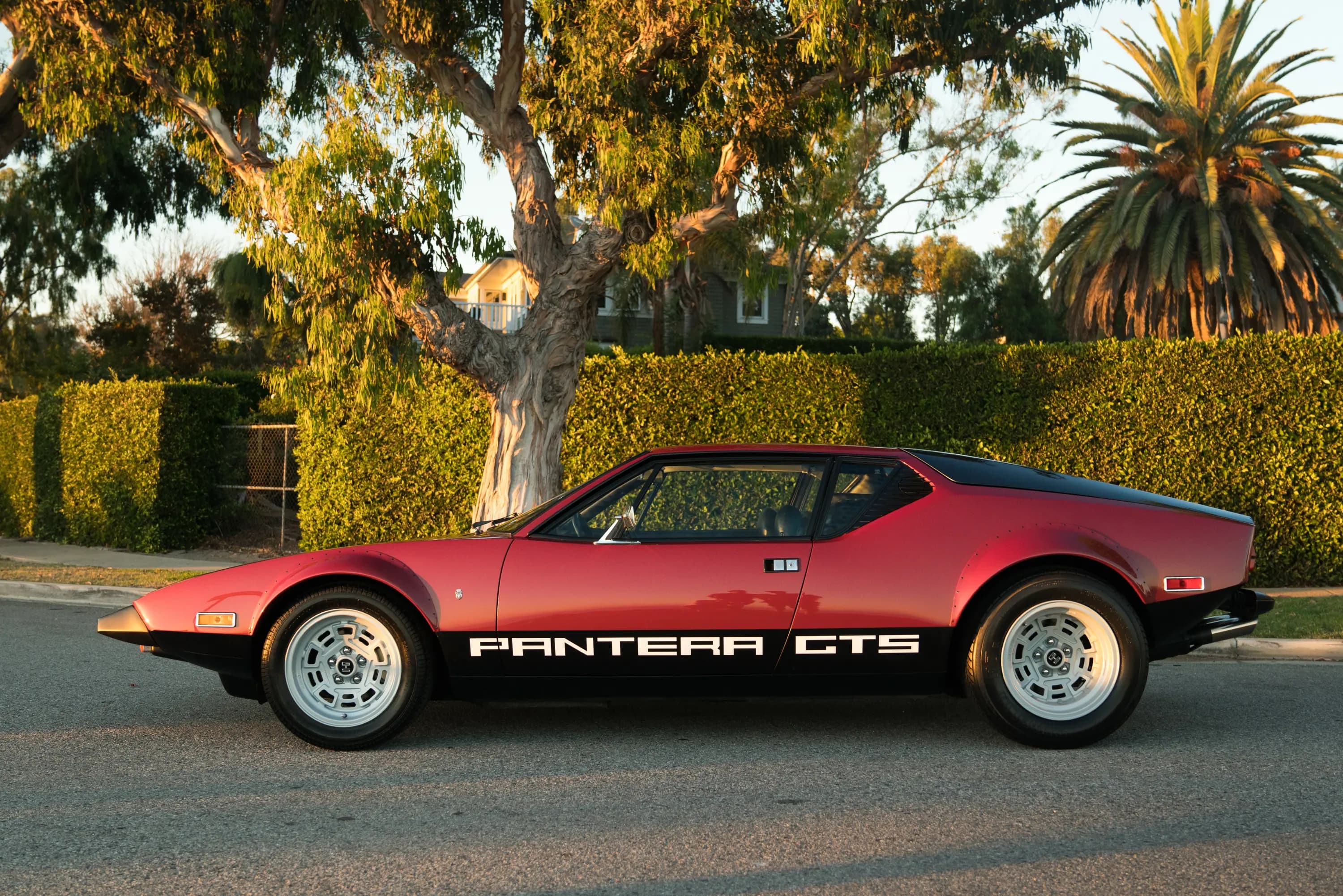 Why I Drive gallery image 1